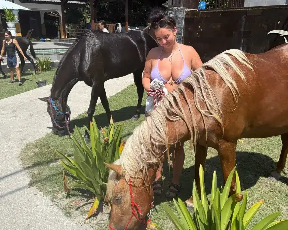 Bali Horse Sanctuary