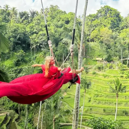 Bali Ubud Swing