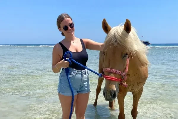 Gili T Horse Sanctuary Bali