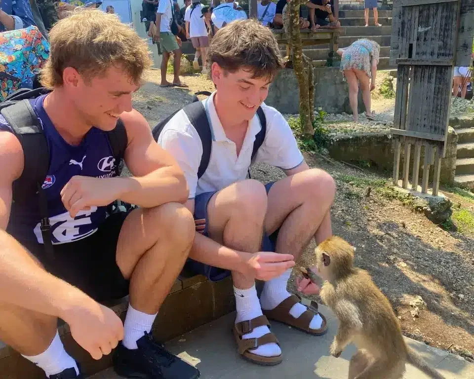 Monkey Forest Bali